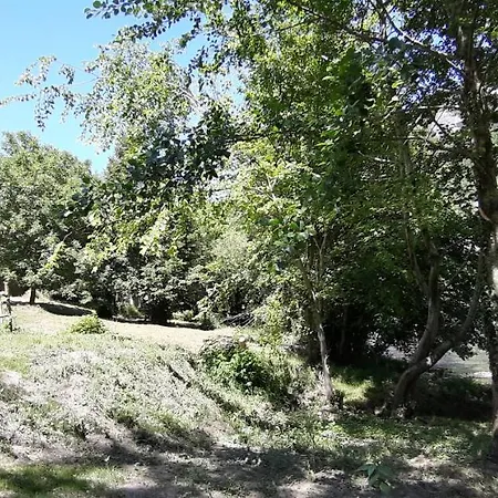 Moulin De Parayre Les Vignes