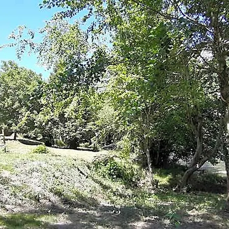Moulin De Parayre לינה וארוחת בוקר לה וין