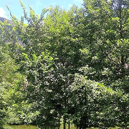 Moulin De Parayre לינה וארוחת בוקר לה וין